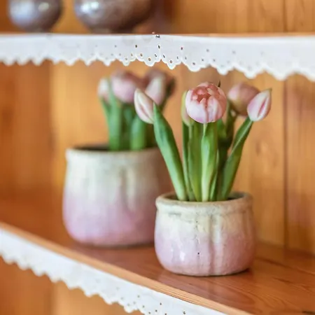 דירה Schanze 17 שמאלנברג